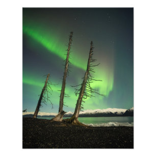 Vergessene Spruce Aurora Fotodruck