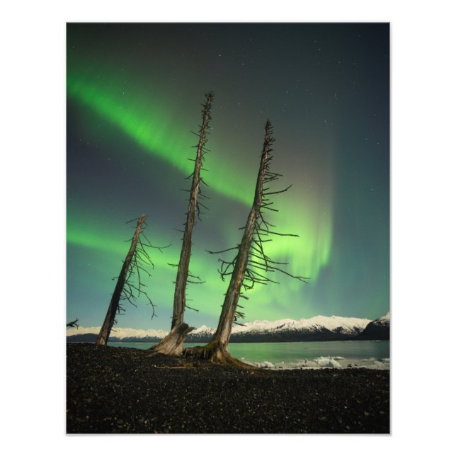 Vergessene Spruce Aurora Fotodruck (Vorne)
