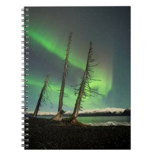 Vergessene Spruce Aurora Notizblock