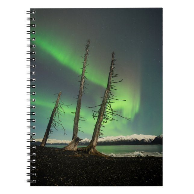 Vergessene Spruce Aurora Notizblock (Vorderseite)