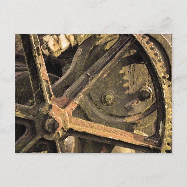 Vergessener Kranich Postkarte (Vorderseite)