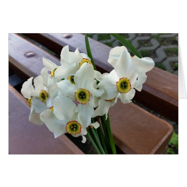 vergessener Strauß (Vorderseite (Horizontal))