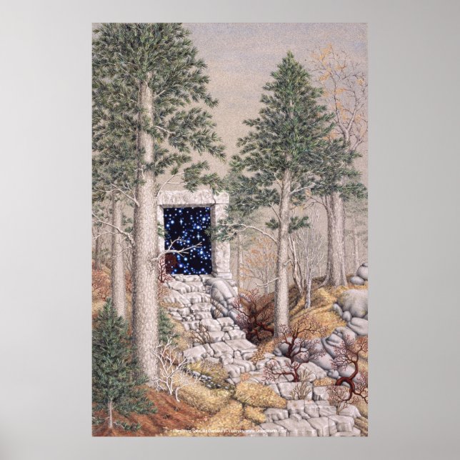 Vergessenes Tor von Darlene P. Coltrain Poster (Vorne)