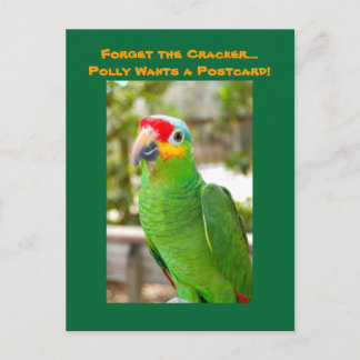 Vergiss den Cracker, Polly Will eine Postkarte, Pa Postkarte