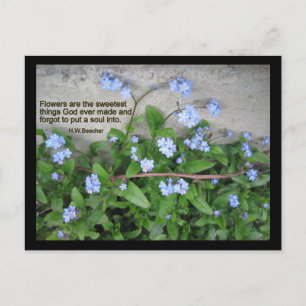 Vergiss-Me-Nots Postkarte