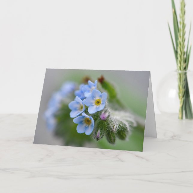 Vergiss mich nicht Blume Karte (Vorderseite)