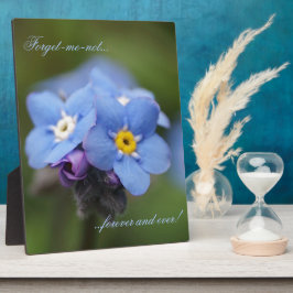 Vergiss mich nicht für immer und immer! fotoplatte
