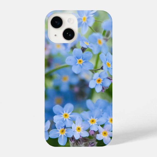 Vergiss mich nicht, Garden Blume Blumen iPhone Hülle (Rückseite)