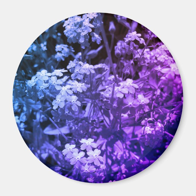 Vergiss mich nicht magnet (Vorne)