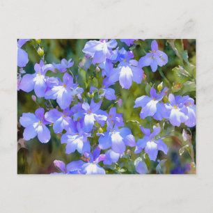 Vergissmeinnicht Blaue Blumen Postkarte