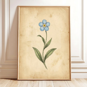 Vergissmeinnicht-Vintage-Blumenkunst Poster