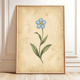 Vergissmeinnicht-Vintage-Blumenkunst Poster
