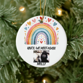 Vergissmeinnicht-Weihnachtsbaumkugel Regenbogenbrü Keramik Ornament