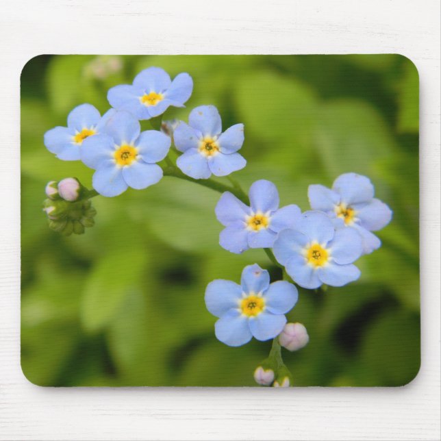 Vergissmeinnichte Mousepad (Vorne)
