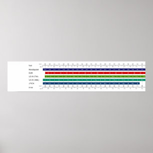 Vergleichstabelle für die Schuhgröße von Erwachsen Poster