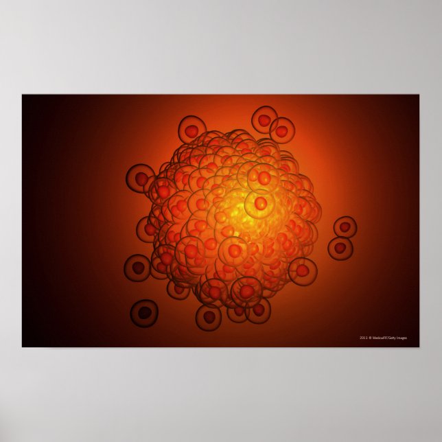 Vergrößerter Blick auf das Ei Poster (Vorne)