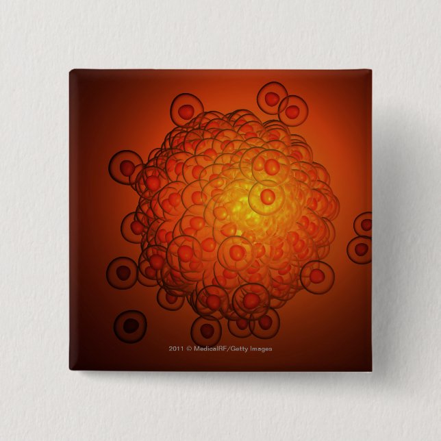 Vergrößerter Blick auf ein Ovum Button (Vorderseite)