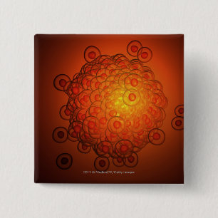 Vergrößerter Blick auf ein Ovum Button