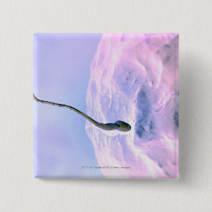 Vergrößerter Blick auf Samenzellen, die ein Ei Button