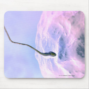 Vergrößerter Blick auf Samenzellen, die ein Ei Mousepad