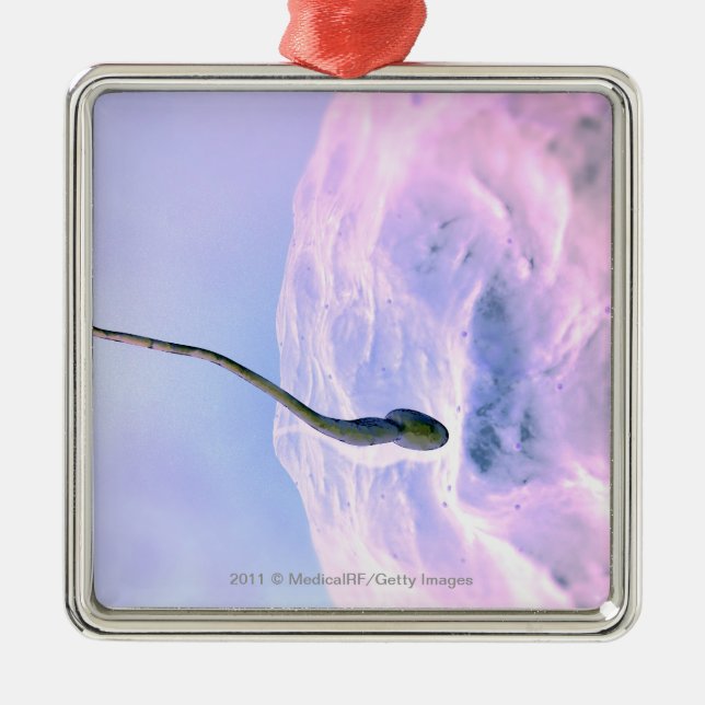 Vergrößerter Blick auf Samenzellen, die ein Ei Silbernes Ornament (Vorne)