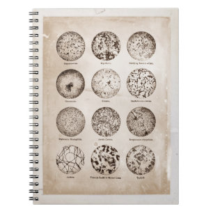 Vergrößertes Bakterien-Vintages Medizin-Diagramm Notizblock