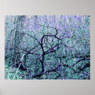 Verheddert in Blau Poster