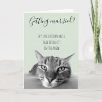 Verheiratete Ehe aus dem KatzenSpaß