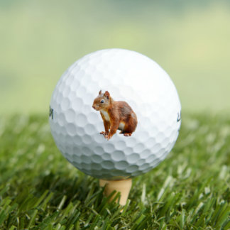 Véritable Écureuil Roux Mignon-Stylisé Golfball