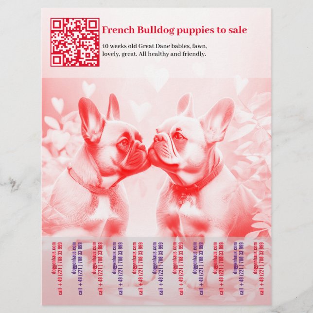 Verkauf von Frenchie Welppies Flyer (Vorne)