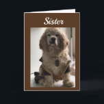 VERKAUFEN UND FEIERN SIE IHREN TAG **SISTER** KART KARTE<br><div class="desc">DAS IST MEIN "16 1/2 JAHRE ALTER COCKER NAMED DAKOTA! DIE LIEBEN,  DIE FÜR MEINE KARTEN STEHEN!!!!! VIELEN DANK FÜR DAS STOPPEN EINES MEINER ACHT GESCHICHTE!!! DENKEN SIE DARAN - SIE KÖNNEN DAS 'ALTER' UND DAS 'VERSE' AUF FAST ALLEN MEINEN KARTEN ÄNDERN!!!</div>