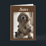 VERKAUFEN UND FEIERN SIE IHREN TAG **SISTER** KART KARTE<br><div class="desc">DAS IST MEIN "16 1/2 JAHRE ALTER COCKER NAMED DAKOTA! DIE LIEBEN,  DIE FÜR MEINE KARTEN STEHEN!!!!! VIELEN DANK FÜR DAS STOPPEN EINES MEINER ACHT GESCHICHTE!!! DENKEN SIE DARAN - SIE KÖNNEN DAS 'ALTER' UND DAS 'VERSE' AUF FAST ALLEN MEINEN KARTEN ÄNDERN!!!</div>