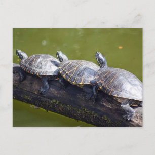 Verkehrsstau Postkarte