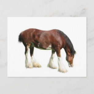 verkleidet postkarte