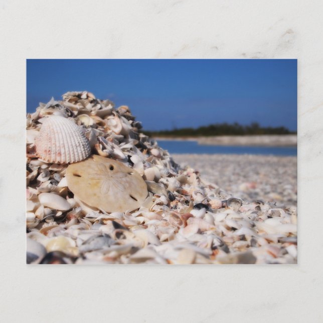 Verkleidung Postkarte (Vorderseite)