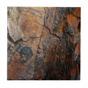 VERKOHLTE RINDE EINES SEQUOIA-BAUMES FLIESE