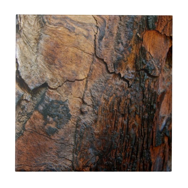 VERKOHLTE RINDE EINES SEQUOIA-BAUMES FLIESE (Vorderseite)