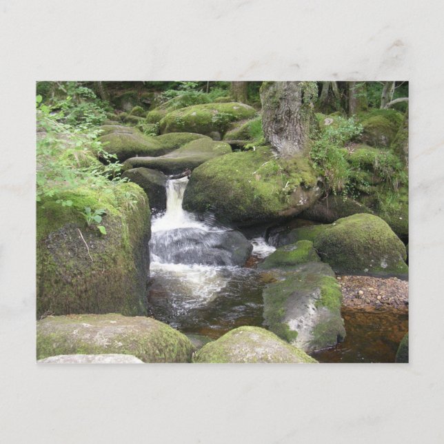 Verlängerung 2009 105 postkarte (Vorderseite)