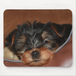Verlangsamen Sie Wink-Nahaufnahme Mousepad