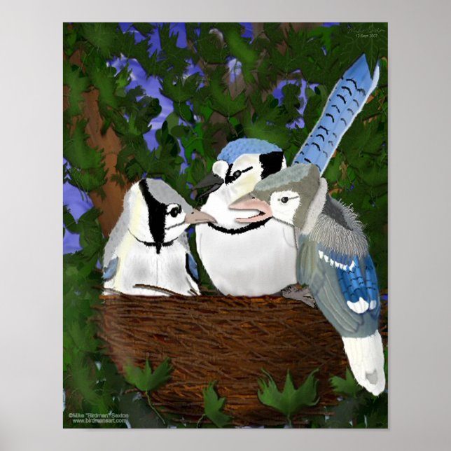 Verlass des Nest Blue Jay Poster (Vorne)