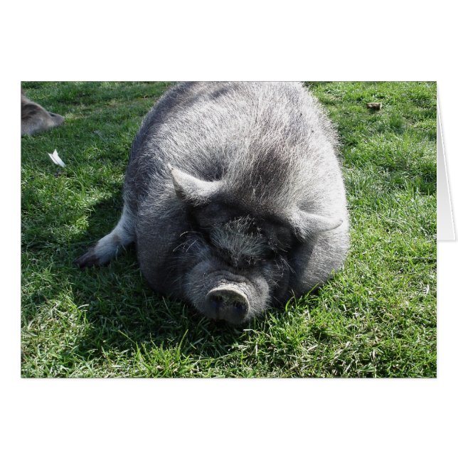 verlass mich allein (Vorderseite (Horizontal))