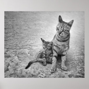 Verlass mich nie allein poster