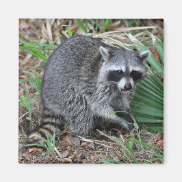 Verlass mir alleine magnet