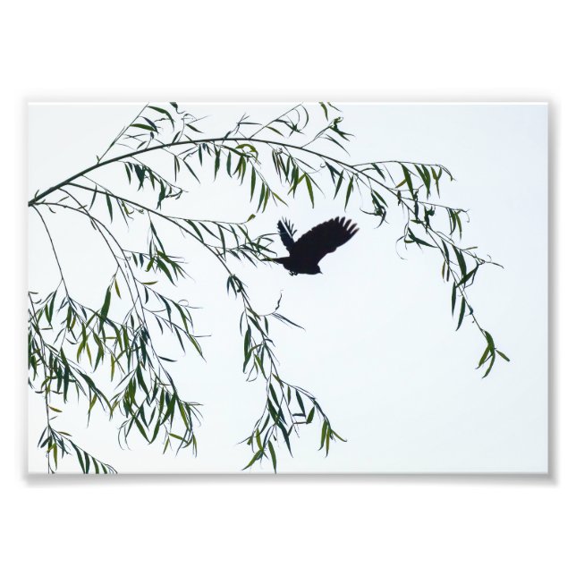 Verlass nicht fotodruck (Vorne)