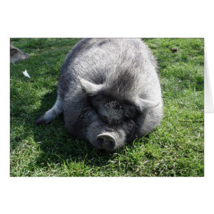 verlassen Sie mich allein