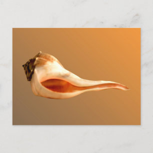 Verlassen Whelk Postkarte