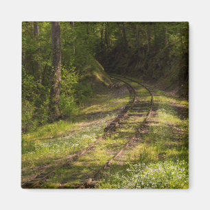 Verlassene Eisenbahn in einem Wald Magnet