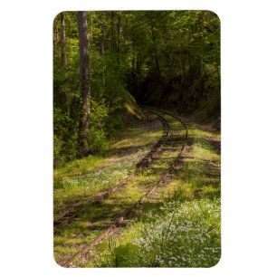 Verlassene Eisenbahn in einem Wald Magnet
