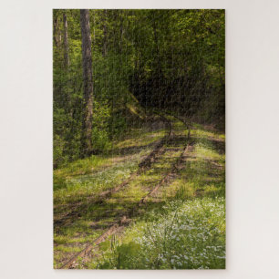 Verlassene Eisenbahn In Einem Wald Puzzle