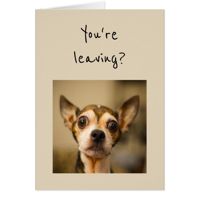 Verlasst du? Nein! Fun Chihuahua Dog (Vorne)